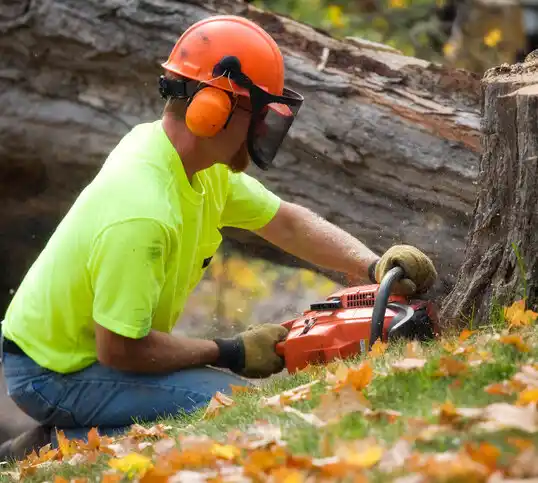 tree services Leipsic